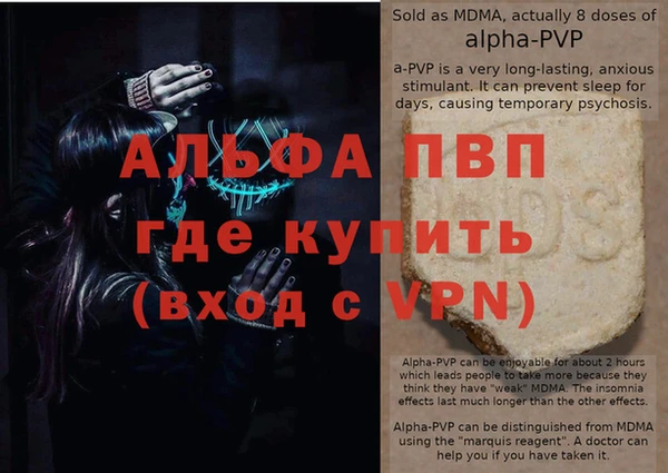 молекула духа Михайлов