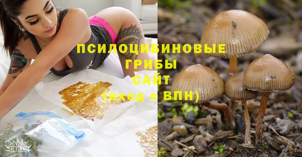 эйфоретик Наволоки