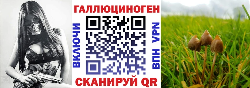 Галлюциногенные грибы GOLDEN TEACHER  дарк нет наркотические препараты  Алушта 